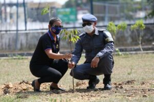 Batalhão Ambiental planta mudas no Comando Geral da PM, em ação em homenagem à vida