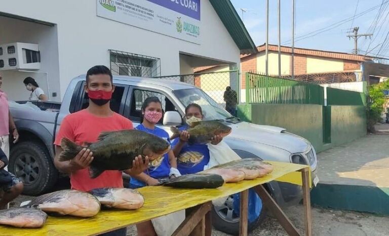 Em Coari, Idam apoia despesca de tambaqui e pirarucu de manejo