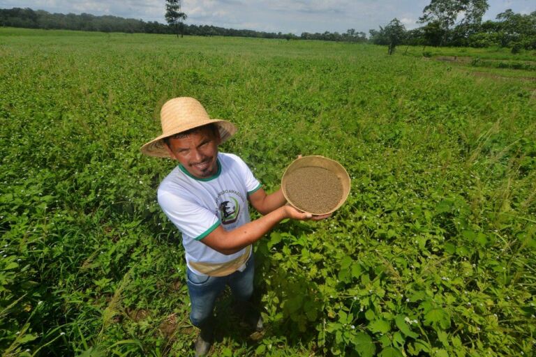 Governo do Amazonas expande trabalho de juticultores