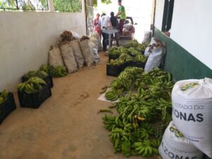 Idam acompanha a entrega da primeira remessa de alimentos ao PAA em Benjamin Constant