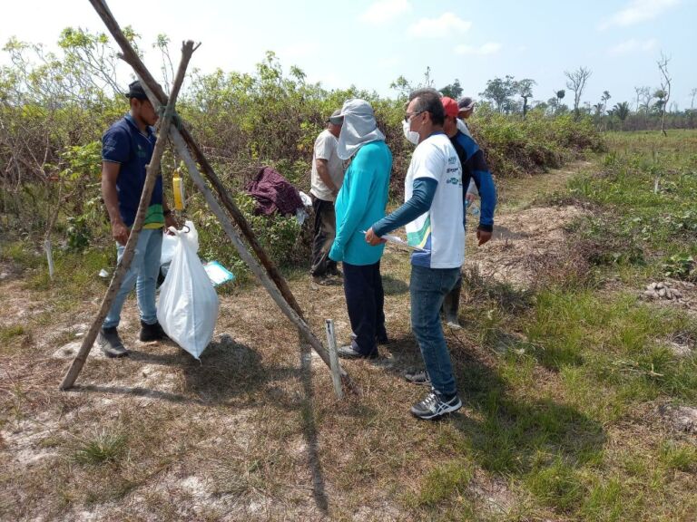 Idam e Embrapa realizam colheita em Unidade de Observação de Cará