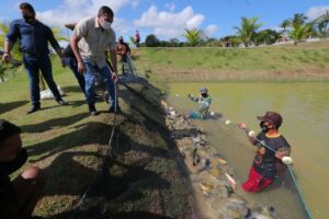 Piscicultura do Amazonas tem crescimento apontado em relatório do IBGE
