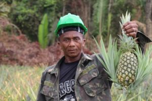 Idam apoia produtores na entrega de 16 toneladas de alimentos orgânicos em Careiro da Várzea