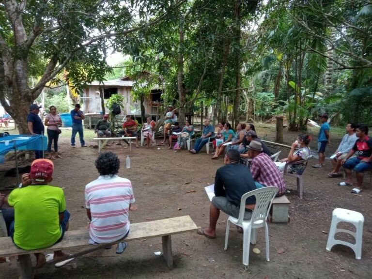 Idam segue com cursos de implantação da cultura do açaí em Rio Preto da Eva