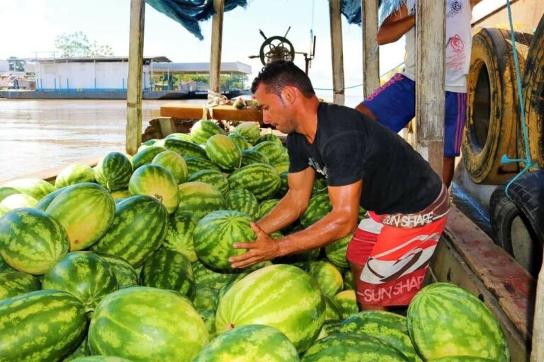 Com apoio da ADS, produtores rurais do Amazonas escoaram mais de 1,9 mil toneladas em 2020