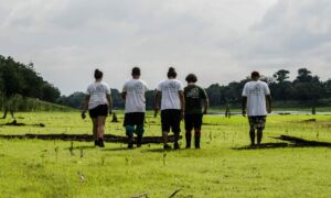 Reconhecimento do Idesam como OSCIP abre novas oportunidades na Amazônia