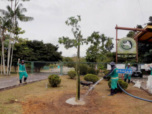 Parque do Mindu passa por trabalhos de revitalização