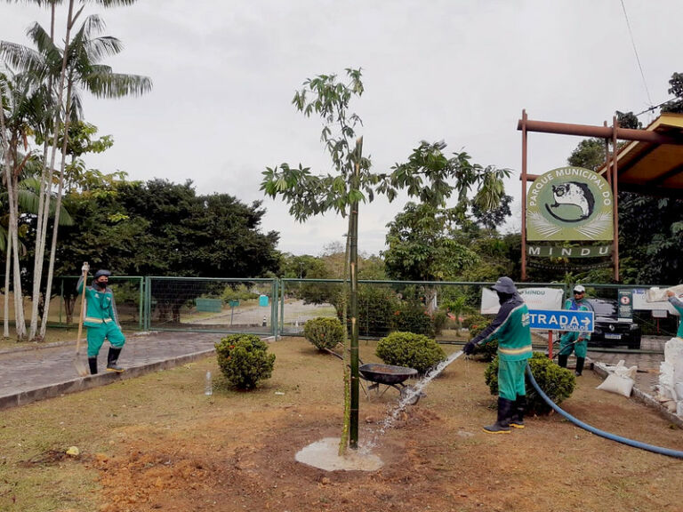 Parque do Mindu passa por trabalhos de revitalização