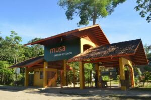 Museu da Amazônia reabre exclusivamente por agendamentos a partir do 8 de março