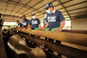 Wilson Lima inicia Campanha Amazonas sem Febre Aftosa, nesta segunda-feira
