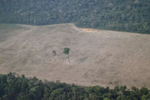 Força Nacional na Amazônia