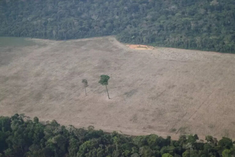 Força Nacional na Amazônia