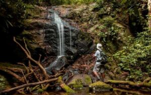 Inscrições abertas para curso de condução ambiental no ecoturismo