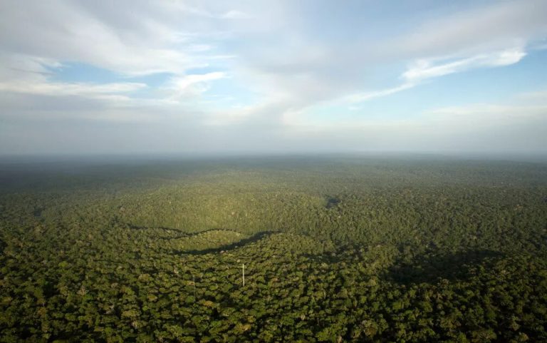 Amazônia