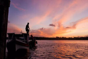 Amazônia
