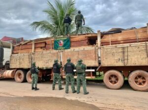 Batalhão Ambiental apreende 40 metros cúbicos de madeira ilegal em Humaitá