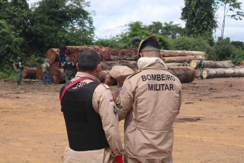 Batalhão de Incêndio Florestal dos Bombeiros atua no combate a queimadas no estado