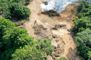 Em dois anos de atividade, Força-Tarefa Amazônia qualifica atuação do MPF em casos de ilícitos socioambientais complexos