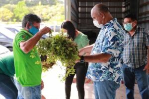Sepror distribui 12,5 toneladas de alimentos para instituições sociais em Manaus, por meio do PAA
