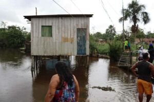 Governo do Amazonas por meio da FEI, destina madeira a comunidades indígenas de Manaus