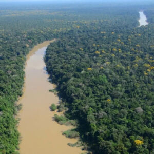 indígenas viveram na floresta por 5 mil anos sem destruir bioma, mostra estudo