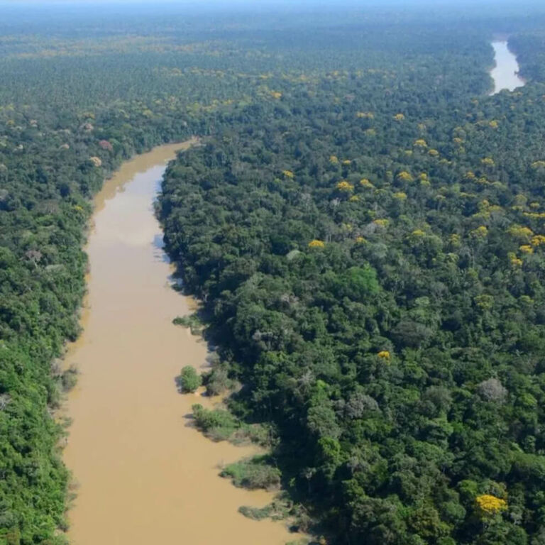 indígenas viveram na floresta por 5 mil anos sem destruir bioma, mostra estudo