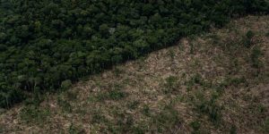 Em sobrevoo de monitoramento de desmatamento na Amazônia no município de Lábrea, Amazonas, realizado em 26 de março de 2022, o Greenpeace identifica um desmatamento de 2.300 hectares de floresta pública não destinada na Gleba Federal Curuquetê. Foto: Christian Braga/Greenpeace